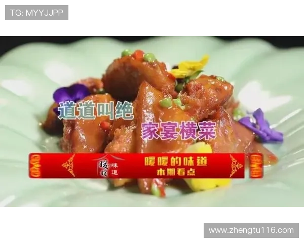 北京卫视华龙直播精彩呈现不容错过