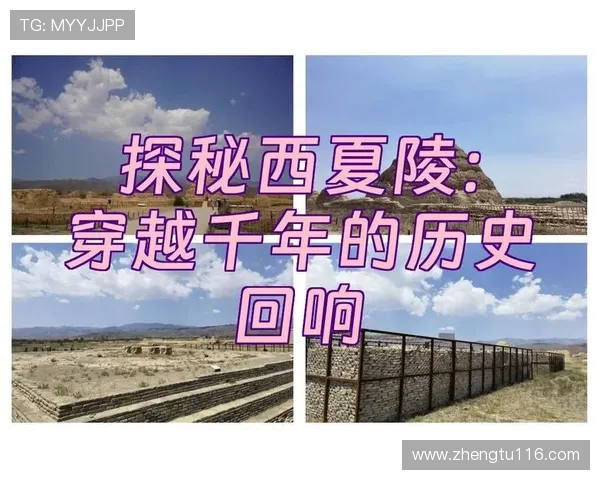 百年直播：穿越时空的视觉盛宴与历史回响