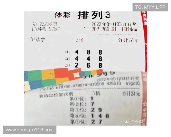 第236期开奖结果正式公布，大奖花落谁家引关注